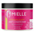 Mielle Babassu Oil And Mint Deep Conditioner 277G - BeautyWholesaleIn