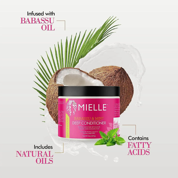 Mielle Babassu Oil And Mint Deep Conditioner 277G - BeautyWholesaleIn