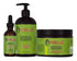 Mielle Rosemary Oil Masque & Shampoo Set Pack Of 3